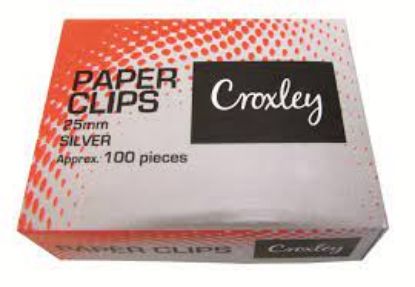 Picture of CROXLEY SILVER GEM CLIPS