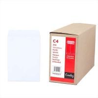 Picture of Envelope Seal Easi Plain