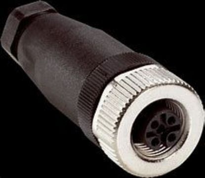 Picture of Plug Female 4 Pin M12