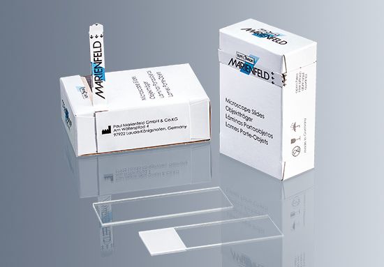 Picture of Microscope Slide, Frosted Cut-Edge