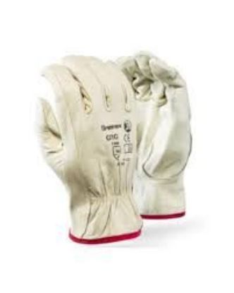 Picture of GLOVE VIP PIGSKIN ARGON 