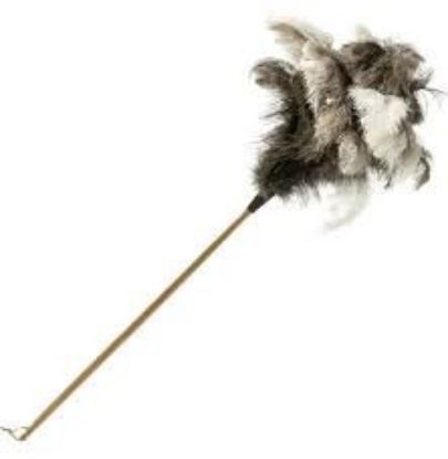 Picture of Feather Duster