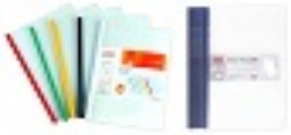 Picture of Le'Stat Slide Report File