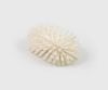 Picture of MEDIUM BULK TANK BRUSH WHITE