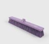 Picture of SWEEPING BROOM STIFF VIOLET