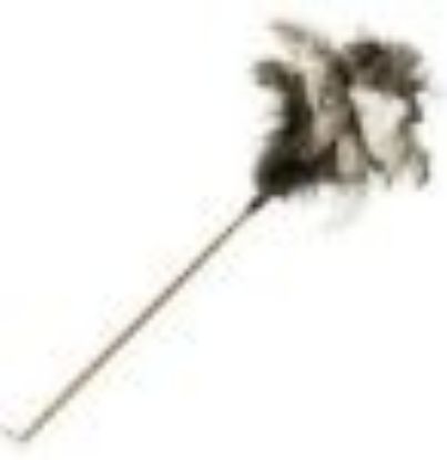 Picture of Feather Duster
